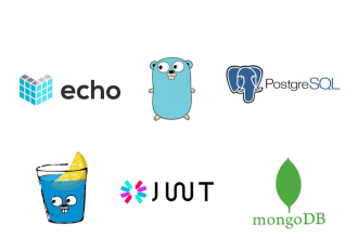 do software development, website, web application backend, front end in golang