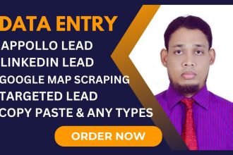 do data entry, lead generation, google map scraping and collected targeted email