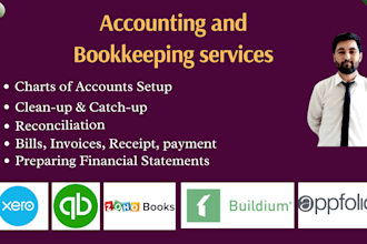 do accounting and bookkeeping on quickbooks online, xero, wave, catchup and set