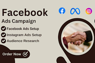 setup and manage facebook ads campaign professionally