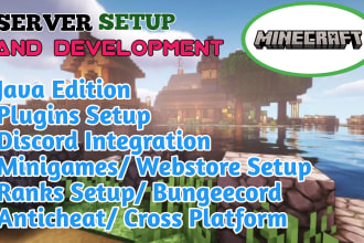 do minecraft server development