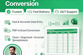 do data entry and PDF to excel conversion