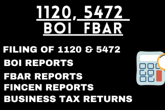 prepare plus efile forms 1120 and 5472, boi report, fbar report