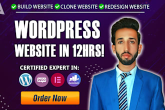 design wordpress design, clone website, redesign or rewamp wp