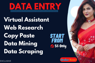 do data entry, web research, scraping and copy paste work as a virtual assistant