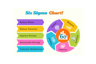 do lean six sigma projects, process improvement tasks and assignments