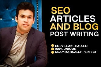write SEO optimized articles and blog posts for you