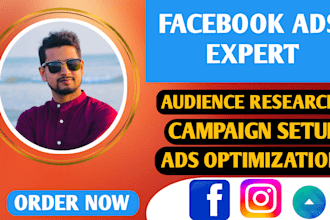 setup facebook and instagram ads campaigns, meta ads campaigns ,fb advertising