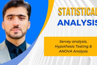 do hypothesis testing, anova, statistical and survey data analysis assigned