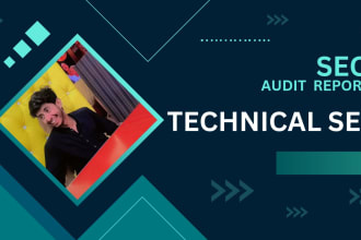 do technical SEO audit report for your wordpress website