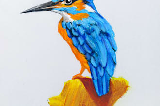 do professional realistic color pencil drawings