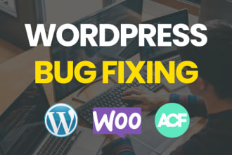 fix wordpress bugs, critical errors and issue fast