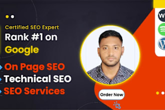 fixx  on page SEO with technical optimization wordpress wixx
