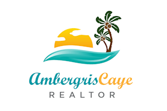design construction, real estate logo for your business
