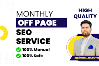 provide monthly off page seo service