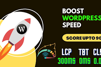 do wordpress speed optimization, fix core web vitals, improve pagespeed