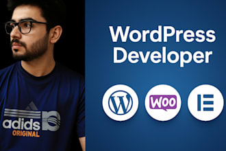 create a wordpress website, online store