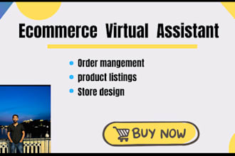your virtual assistant for ecommerce  store