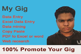 do web research, data entry, copy paste