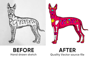 convert hand drawn sketch or logo to vector illustration