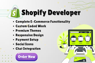 build brand oriented shopify store for you