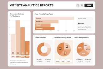 provide professional data visualization, custom dashboards, charts, graphs