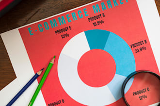 design infographic, flowchart, and a diagram within 24hours