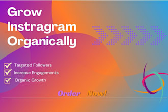 manage instaragram account to grow and promote organic followers engagement