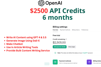set up 2500 USD openai API credit for 6 months for you