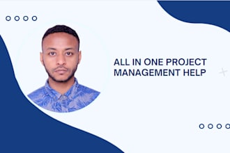 provide project management solutions