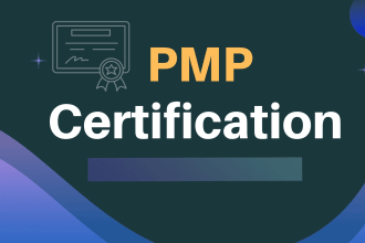 guide you to pmp success expert certification support