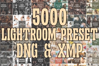 provide 5000 lightroom presets for you to resell