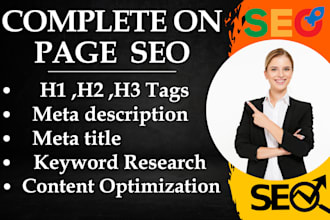 do optimization website onpage  SEO  service wordpress
