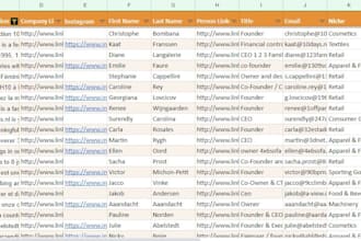 get you b2b leads of shopify ecommerce store decision makers