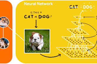 make your neural network