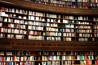 proofread your text or ai translation in french and english