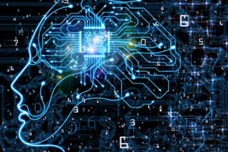 do data science or data analysis