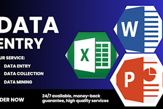 do data entry in ms excel and google spread sheet