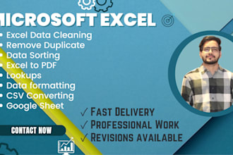 provides microsoft excel data cleaning, and data formatting