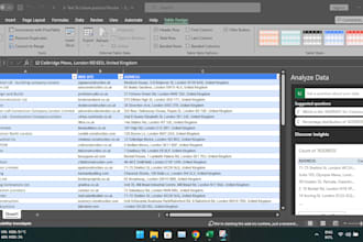 be your excel guru do data clean up formatting just one chance