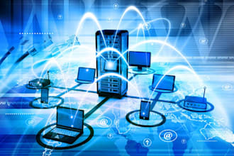 be your virtual IT support, managing servers, and networks