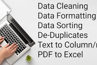do excel data cleaning,formatting,copy paste and data entry