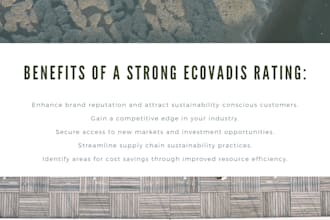 provide assistance with your ecovadis assessment