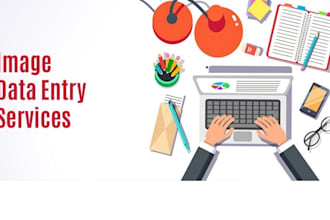 do data entry for you in low price