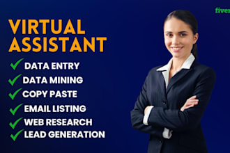 do accurate data entry, copy paste, web research, excel data entry in 24