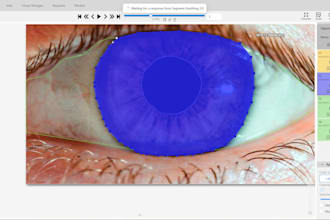 perform quality annotations with polygonal