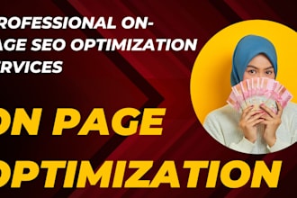 do professional on page SEO for blogs and websites