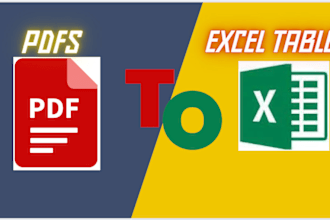 do data converting from pdf to excel