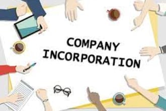 incorporate companies, llp and other business formation in india