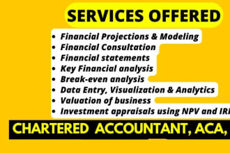 be a chartered accountant and financial advisor for your business